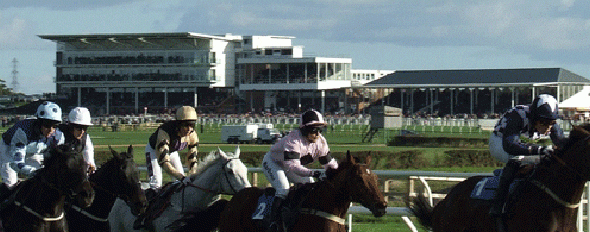Earnshaws Fencing Centres’ Silver Birch used at Wetherby Races!
