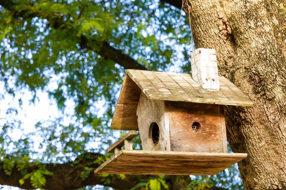 Bird Nesting Box