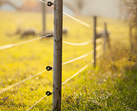 Earnshaws electric fencing