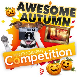 Autumn Photography Competition