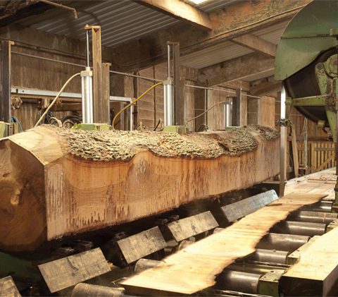 Earnshaws Trade Sawmill