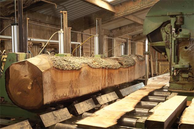 Earnshaws Trade Sawmill