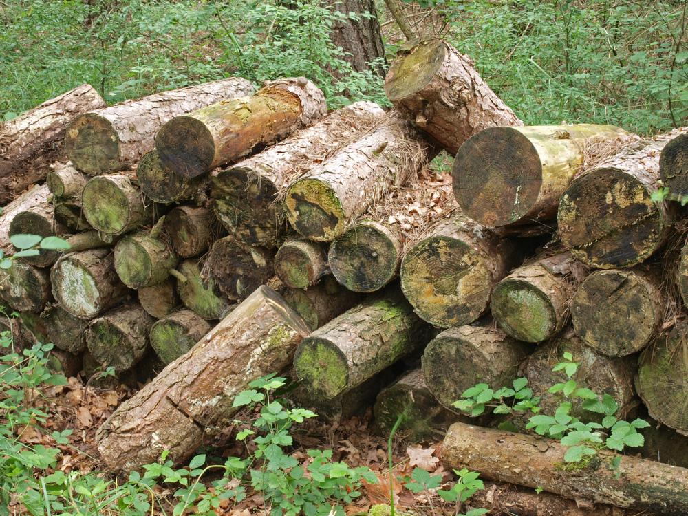 Gardening in November - Log Pile