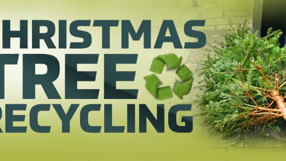 Christmas Tree Recycling