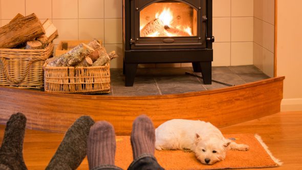 Love a wood-burning stove? You will love our firewood and logs!