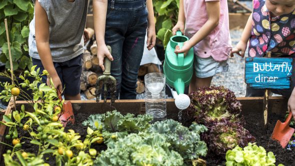 Get Your Greenfingers Ready For Britain In Bloom