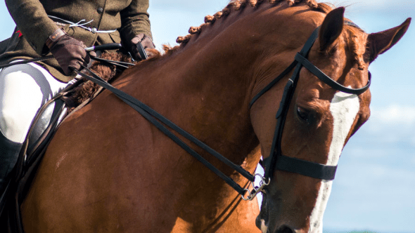 Come and enjoy the fun at Emley Show!