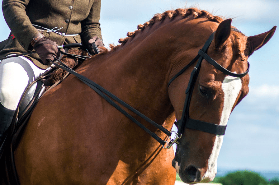 Horse and rider at an earlier Emley Show