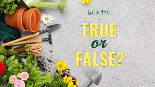 True or False – Gardening Myths!