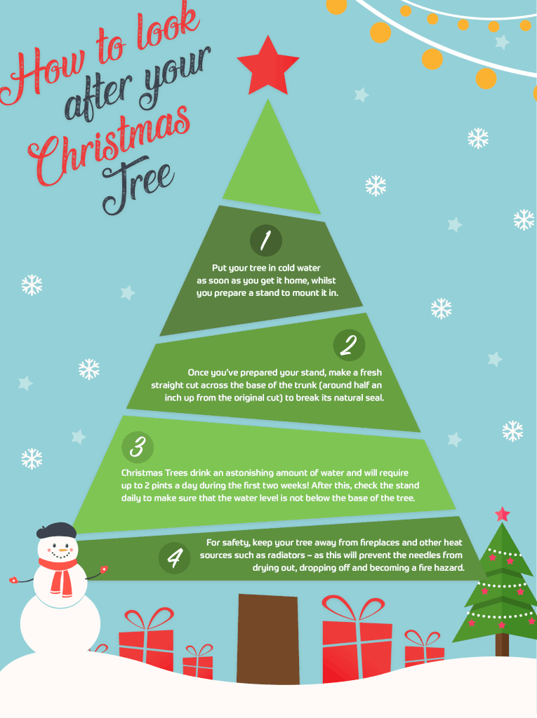 how to look after your christmas tree