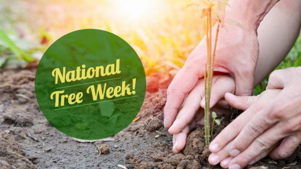 National Tree Week 2018