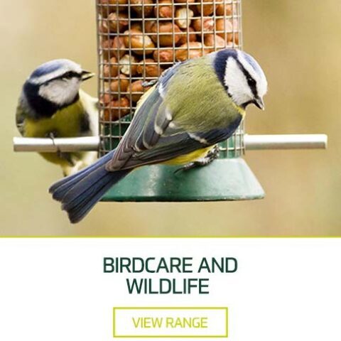Birdcare and Wildlife at Earnshaws Fencing Centre