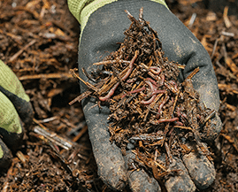 Earnshaws Compost and Mulches