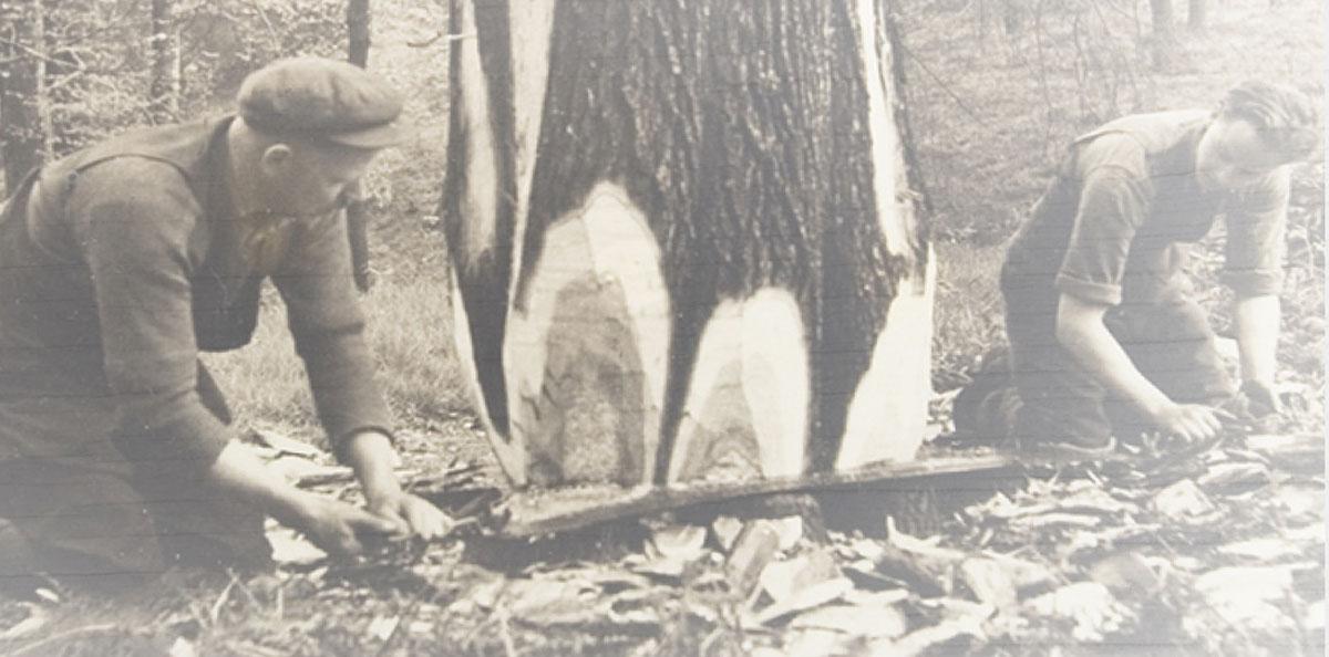 history-in-timber