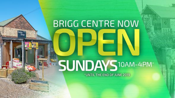 Brigg Now Open Sundays