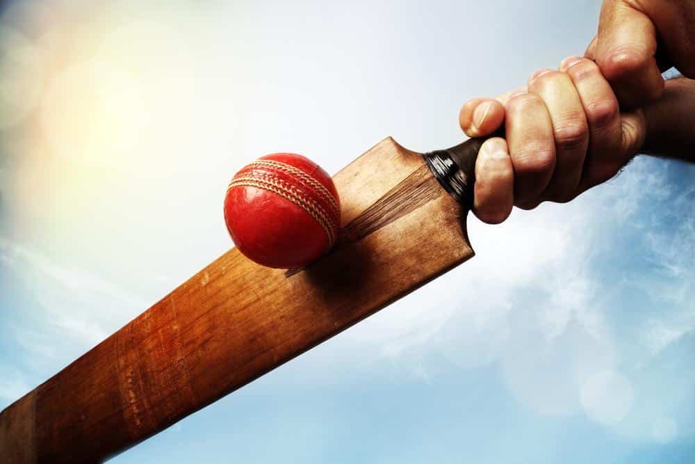 Cricket bat an ball for earnshaws fencing centres