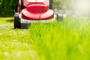 earnshaws fencing centres mowing lawns 