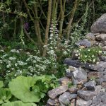 stone water way