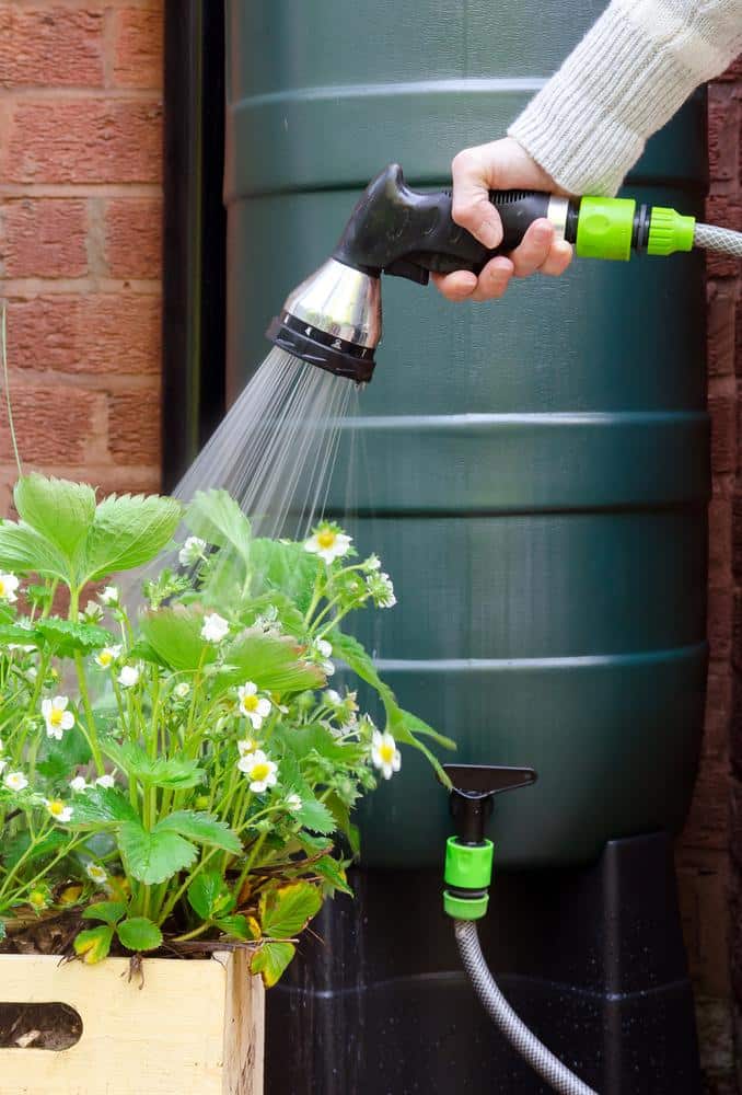 earnshaws fencing centres water butts 