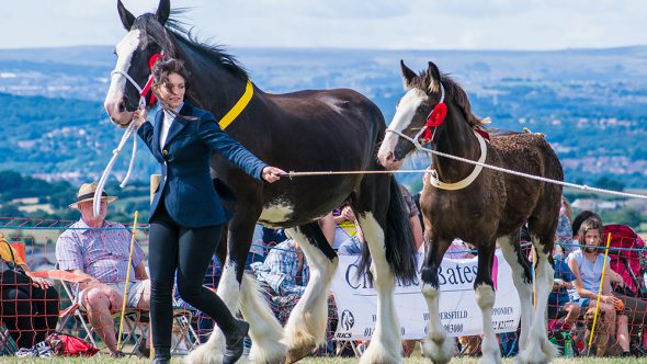 126th Emley Show – Saturday 3rd August!