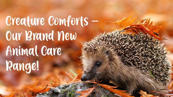 Creature Comforts – Our Brand New Animal Care Range!