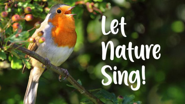 Join RSPB’s Birdsong Takeover –  Let Nature Sing!