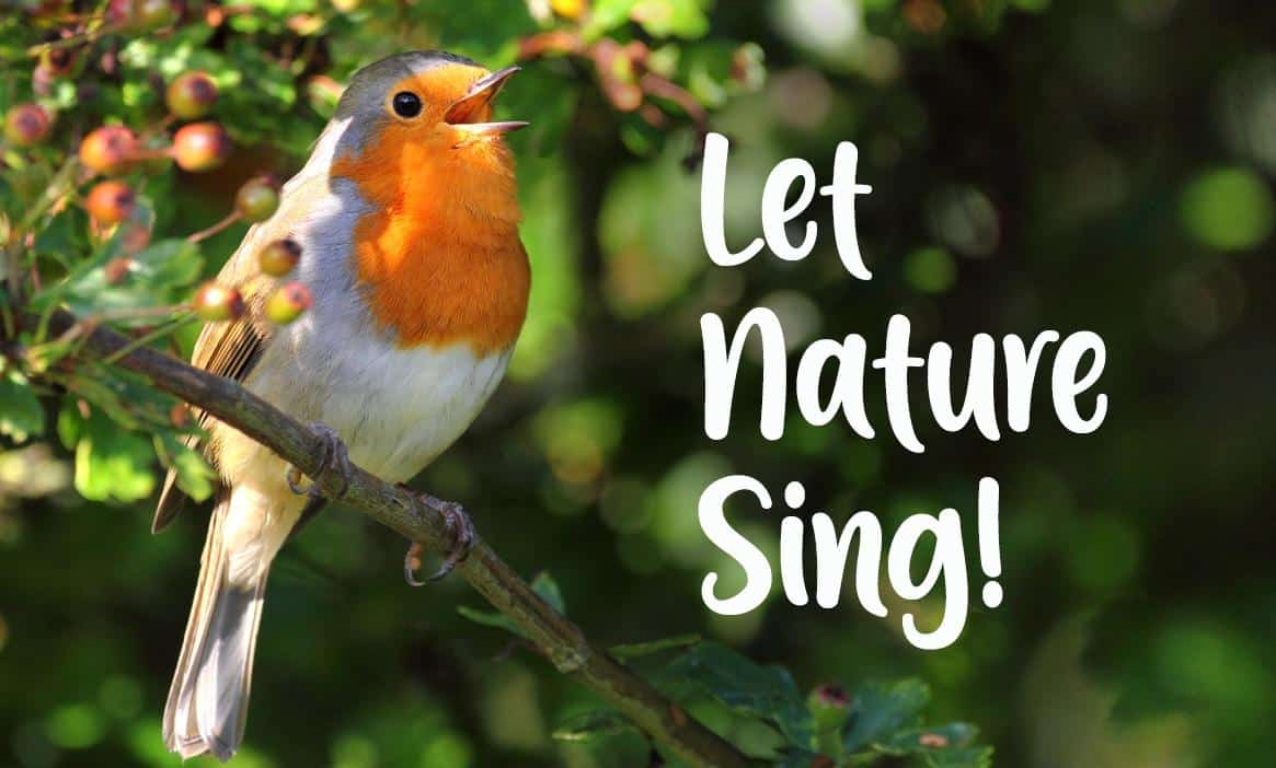 Let Nature Sing!