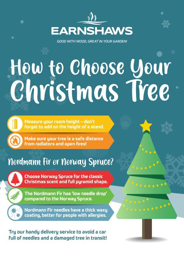 Earnshaws - How to choose your Christmas Tree