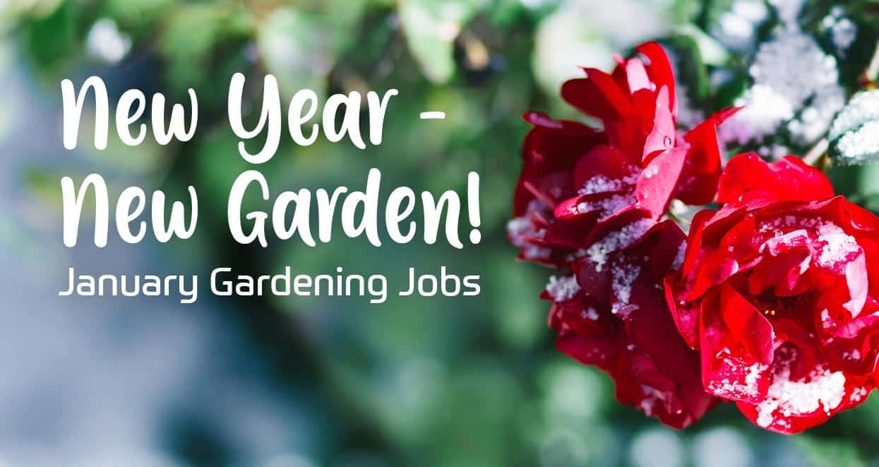 january gardening tips