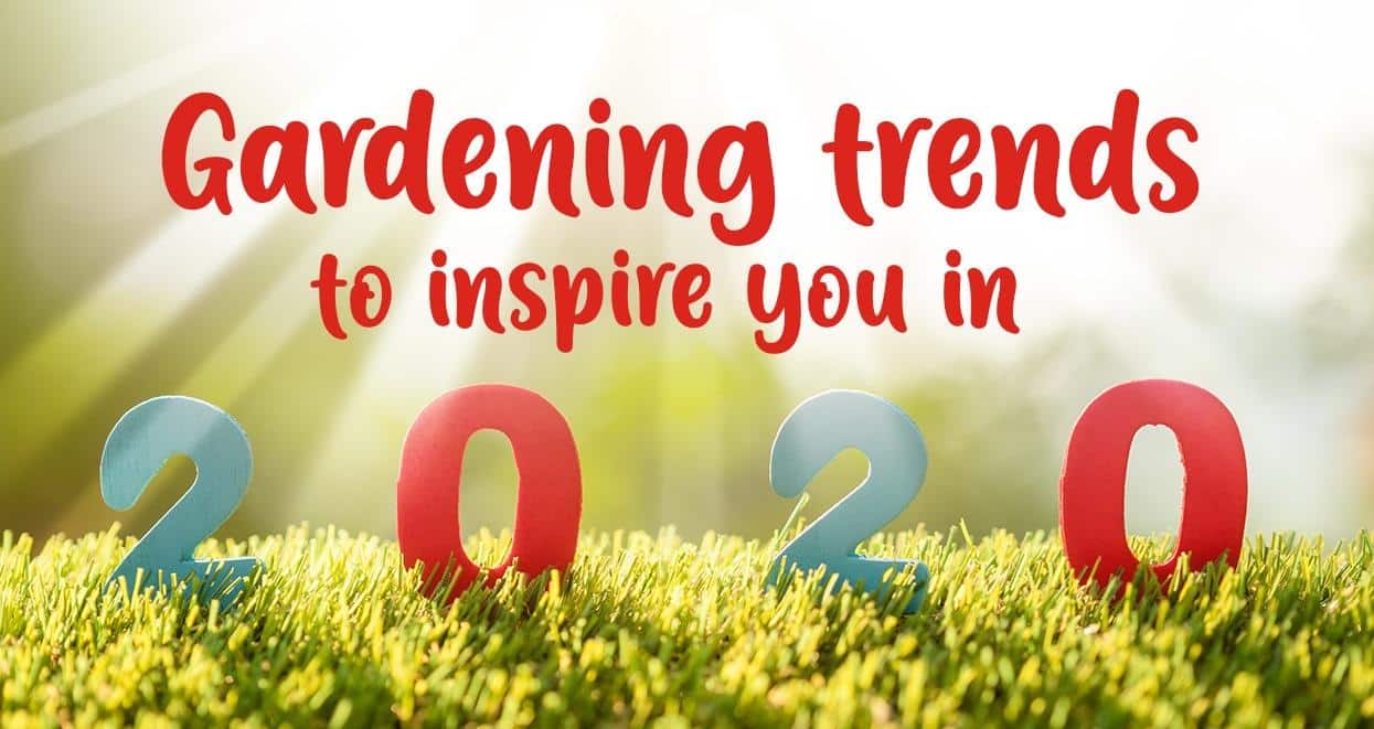 gardening trends of 2020 earnshaws