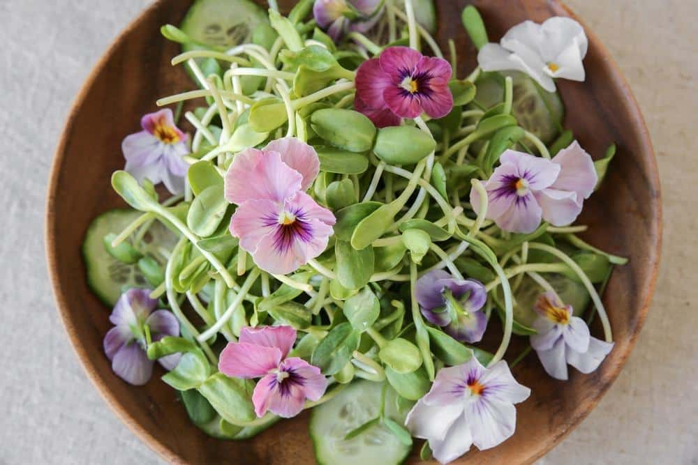 salad with edible flowers earnshaws 