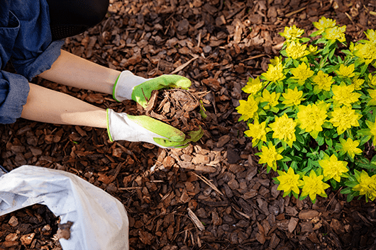 Mulch image