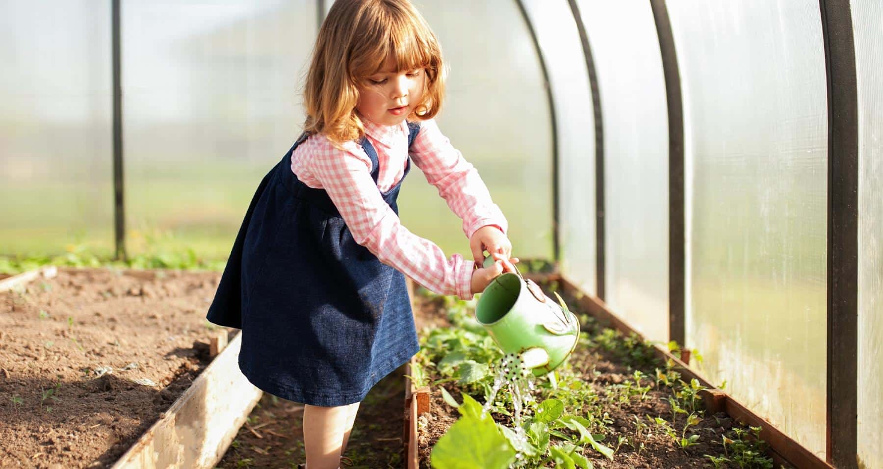 In the greenhouse