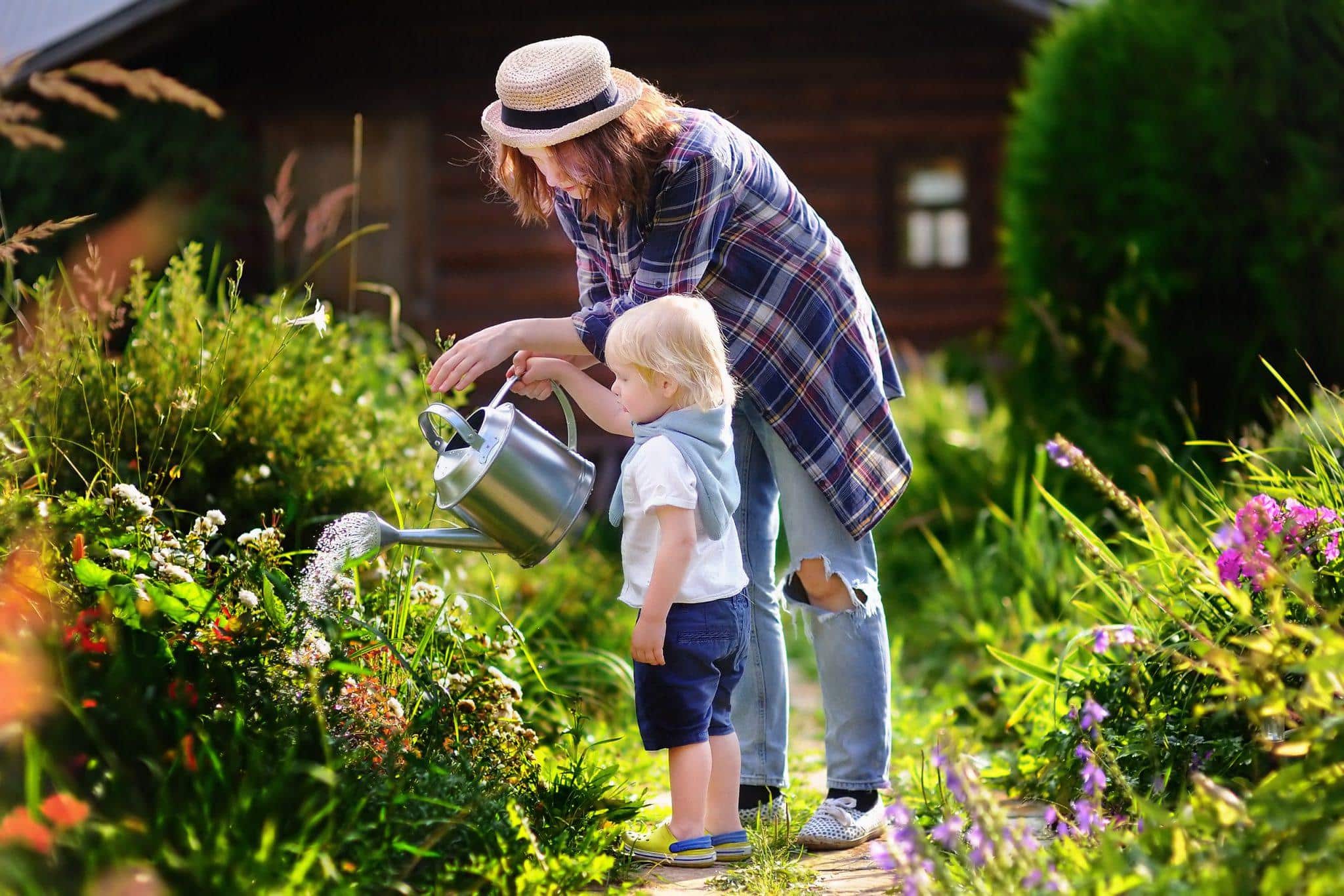 watering flowers