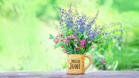 Weather Facts and Gardening Tips for June