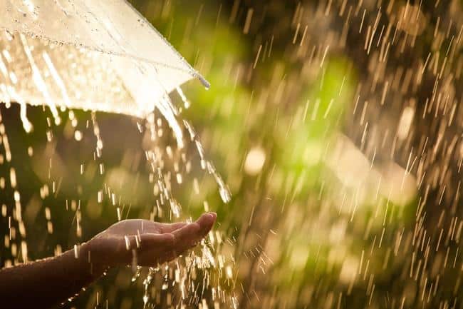 Catching Rain Water - Earnsahws Fencing Centres