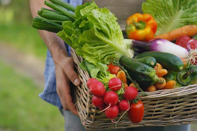 Vegetables - Earnshaws Fencing Centres