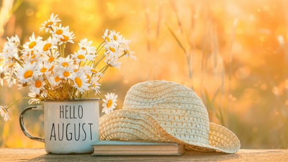 August in Your Garden