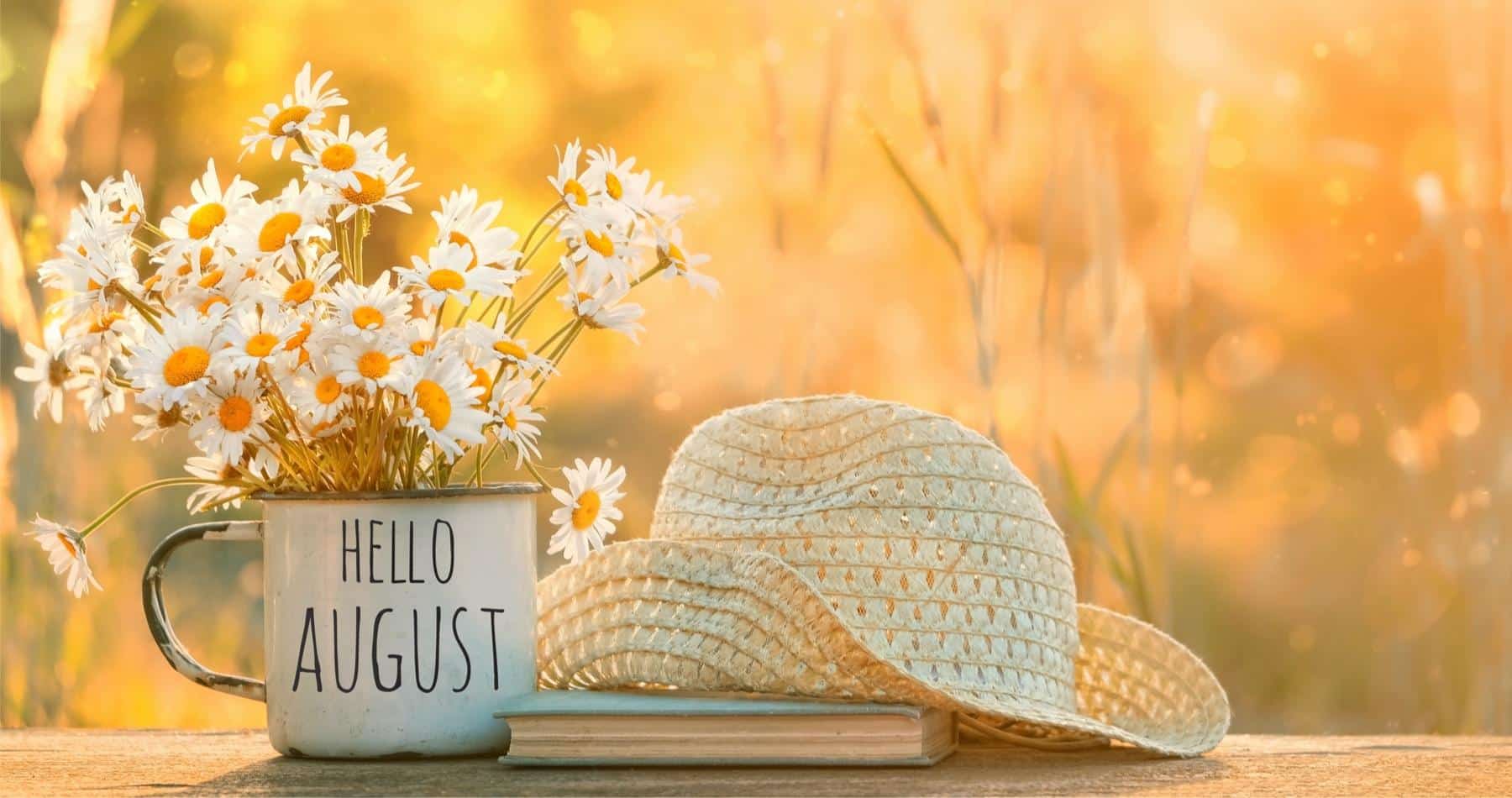 August in your garden