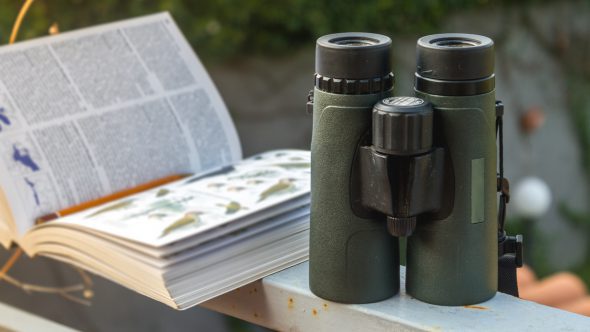 RSPB Big Garden Birdwatch