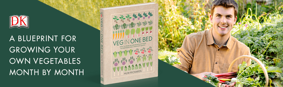 Veg in One Bed: How to Grow an Abundance of Food in One Raised Bed, Month by Month