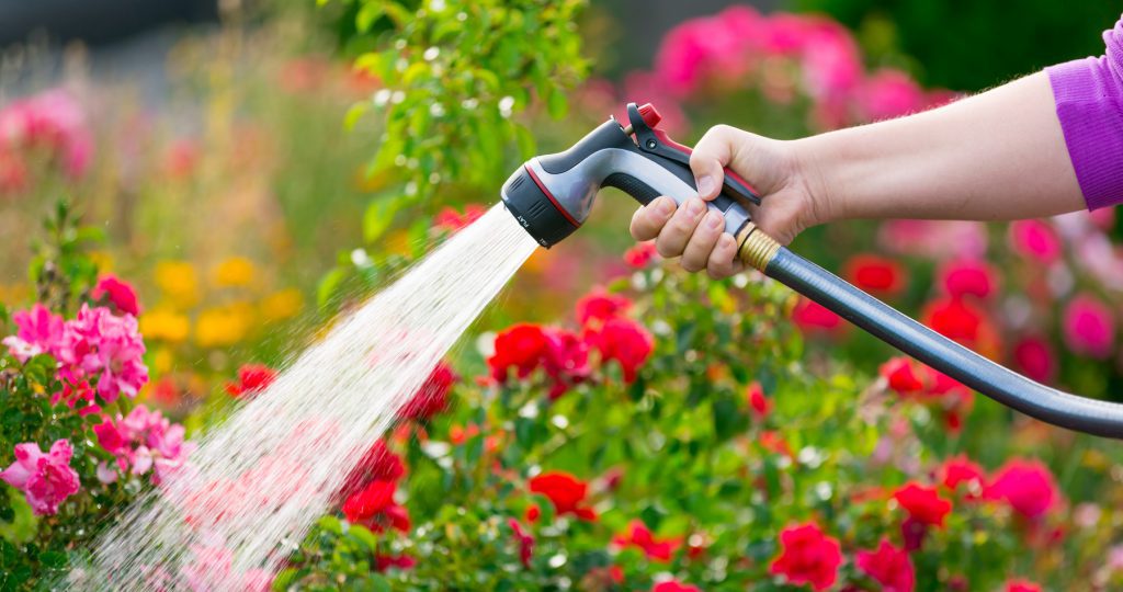 Watering garden plants