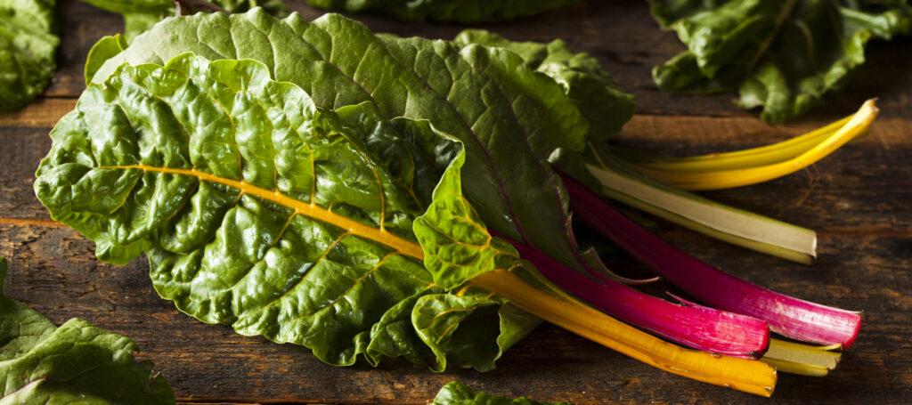 Rainbow Swiss Chard