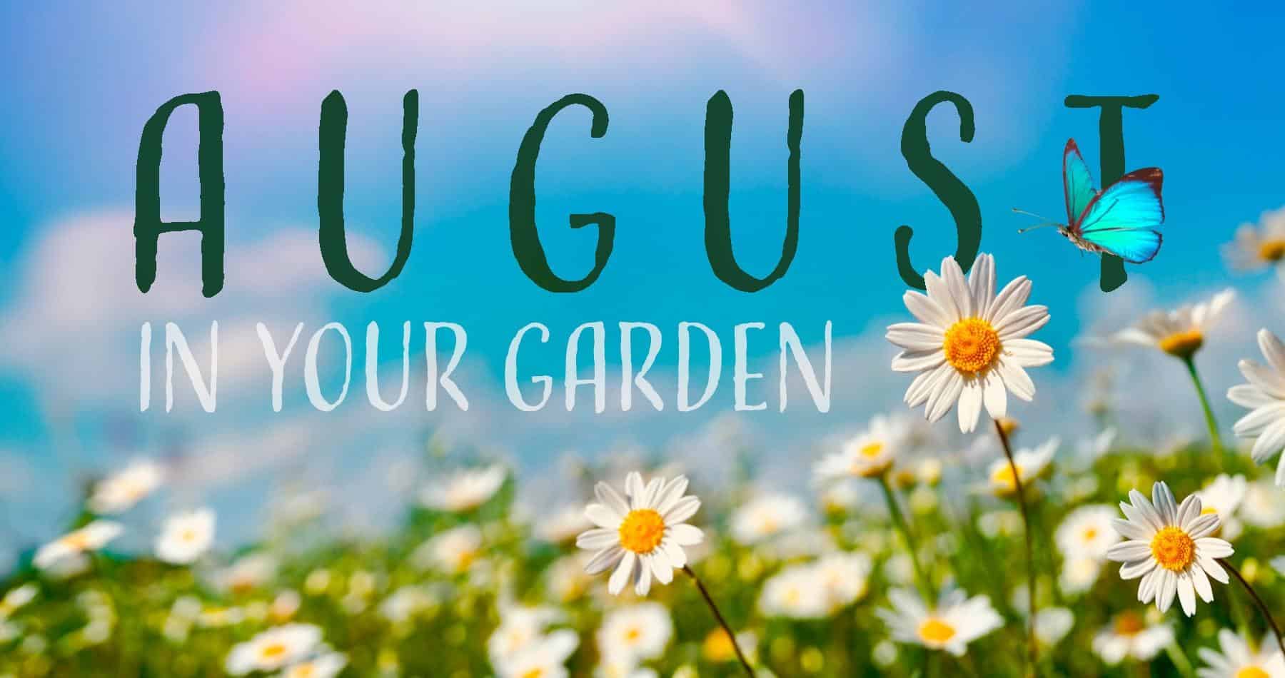 August in Your Garden