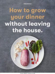 How to grow your dinner without leaving the house