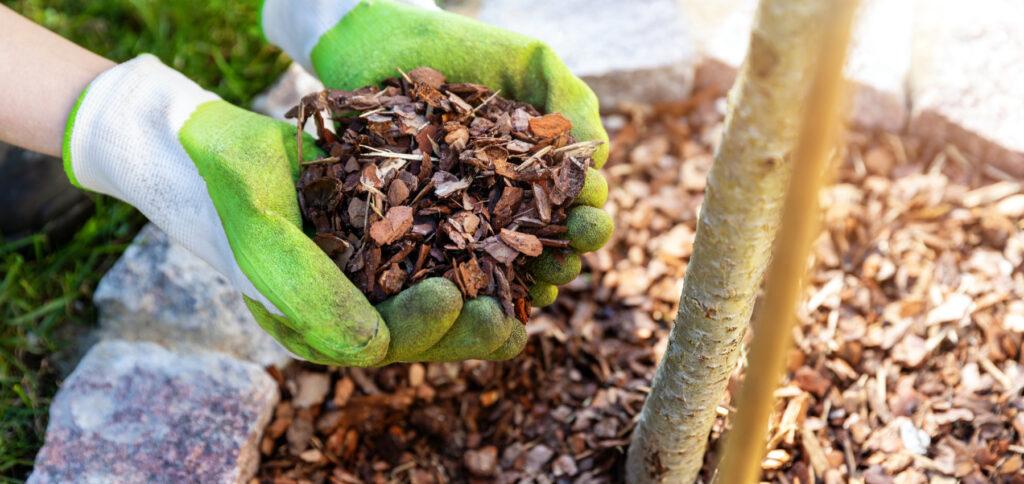 Adding mulch on top of compost