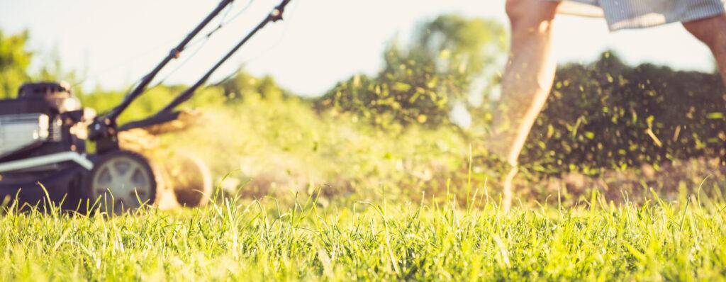 Mowing the lawn