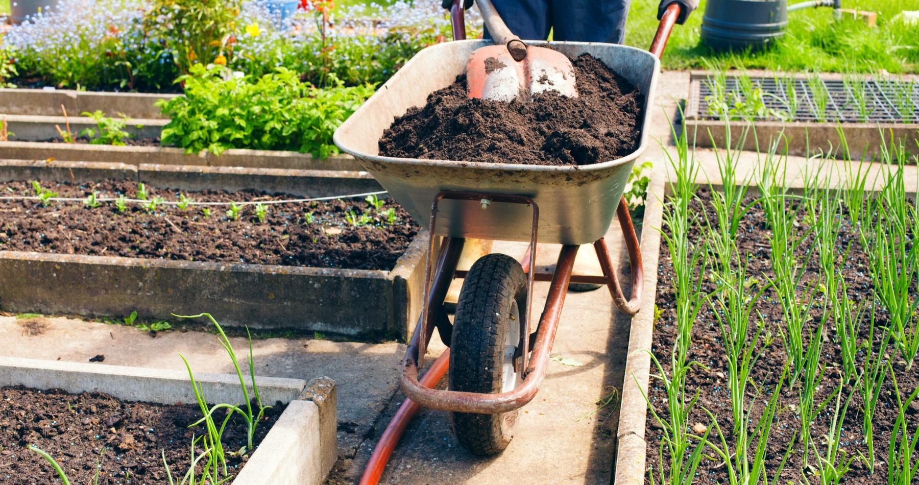 National Allotments Week