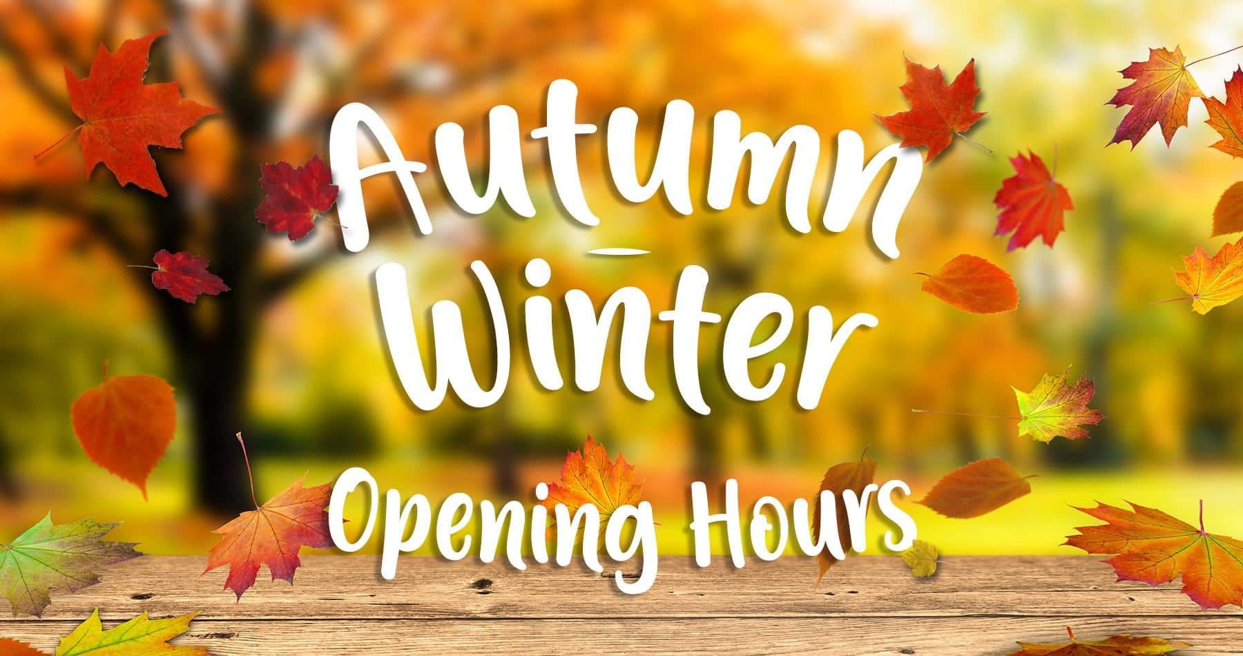 Autumn Winter Open Hours