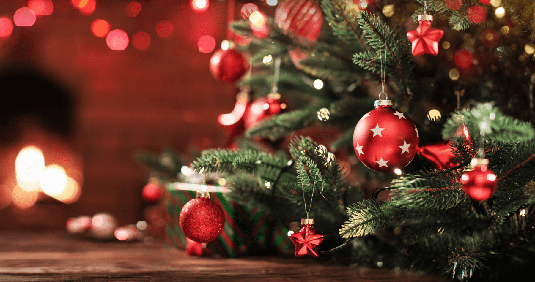 Find Your Perfect Christmas Tree Latest Earnshaws
